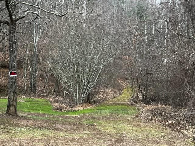 15 Silver Fir Rd, Weaverville NC, 28787 land for sale