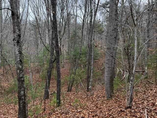 Listing photo 3 for 15 Silver Fir Rd, Weaverville NC 28787