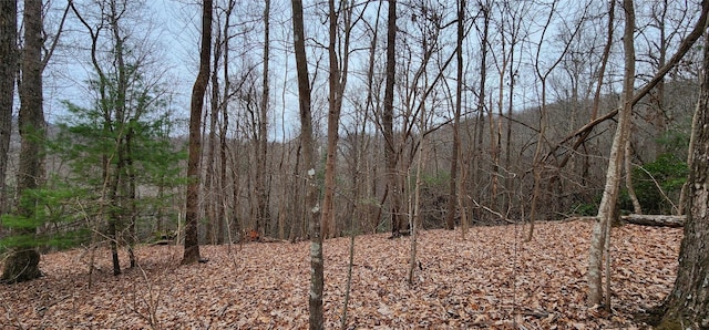 Listing photo 2 for 4.17ACRES Spruce Ln Unit 28, Zirconia NC 28790