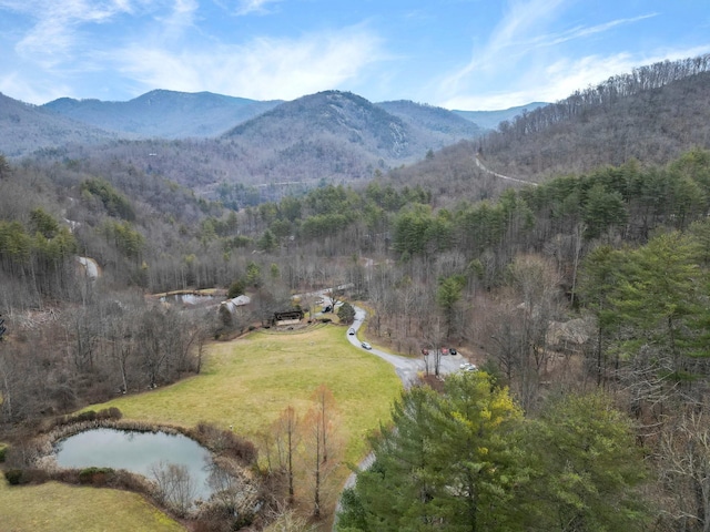 197 Golden Farm Ln, Tuckasegee NC, 28783 land for sale