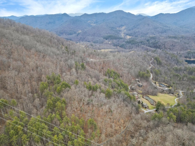 Listing photo 3 for 197 Golden Farm Ln, Tuckasegee NC 28783