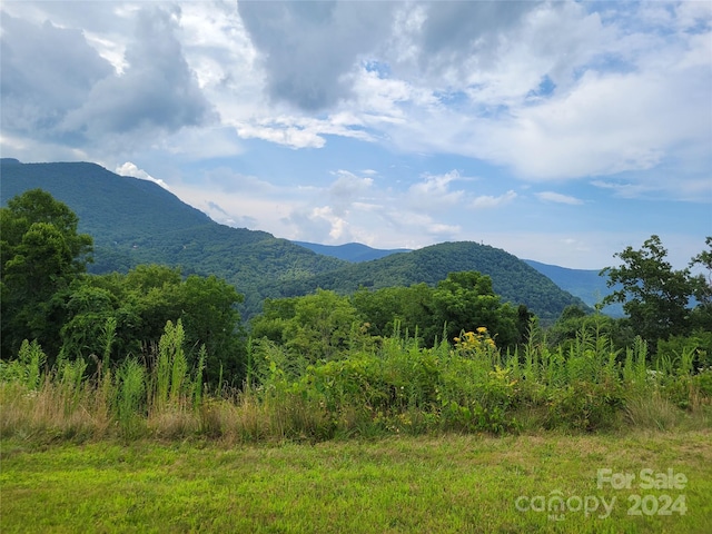 0 Rons Rdg, Waynesville NC, 28785 land for sale