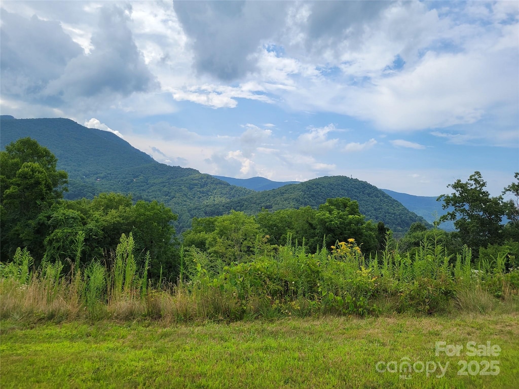0 Rons Rdg, Waynesville, NC 28785 - photo 1