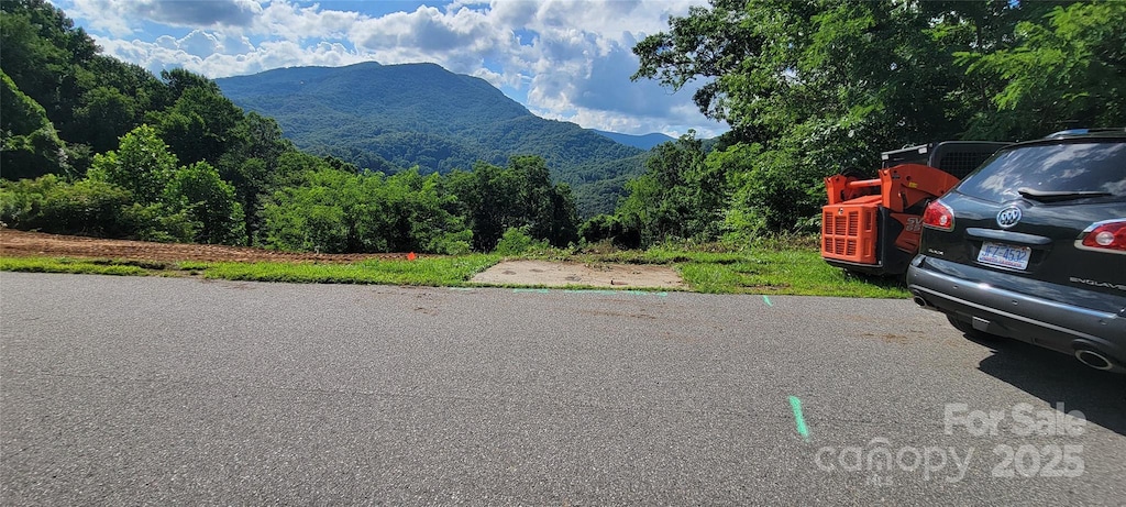 0 Rons Rdg, Waynesville, NC 28785 - photo 3
