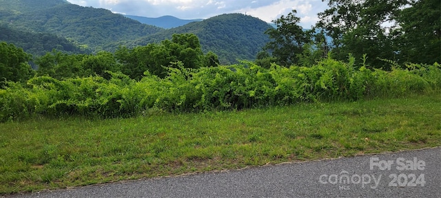 0 Rons Rdg, Waynesville NC, 28785 land for sale