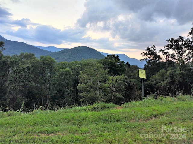 Listing photo 2 for 0 Rons Rdg, Waynesville NC 28785