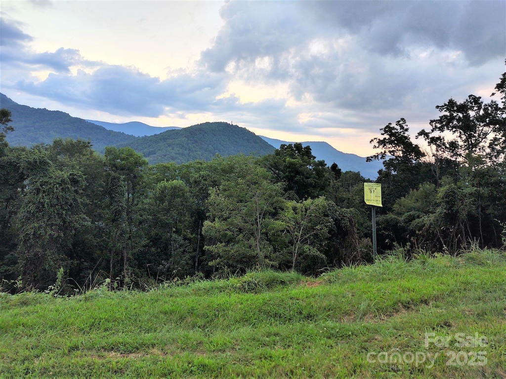 0 Rons Rdg, Waynesville, NC 28785 - photo 2