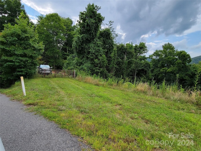 0 Rons Rdg, Waynesville NC, 28785 land for sale