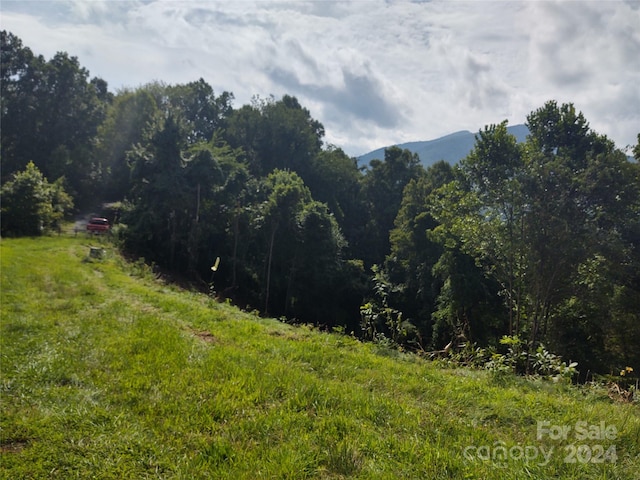 Listing photo 2 for 0 Rons Rdg, Waynesville NC 28785