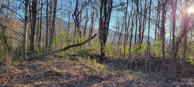 0 Rons Rdg, Waynesville NC, 28785 land for sale