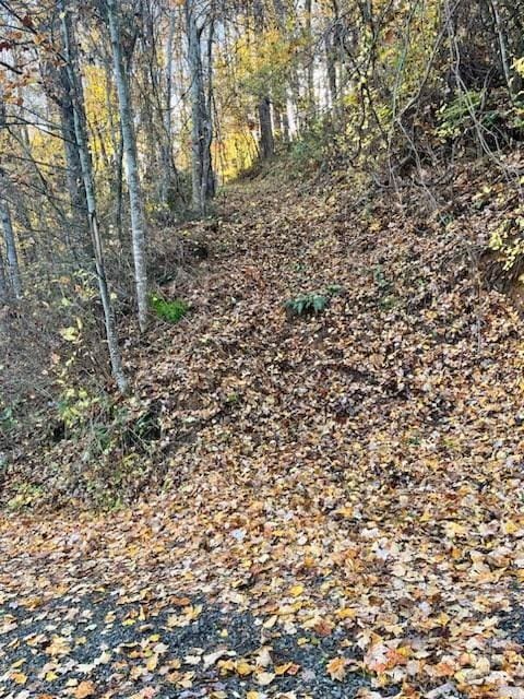 Listing photo 3 for 0 Whispering Winds Rd, Waynesville NC 28751