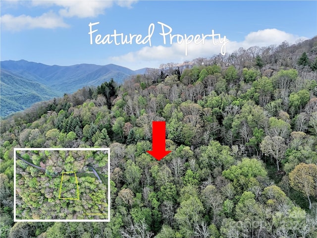 LOT18 Quail Ridge Dr, Maggie Valley, NC 28751