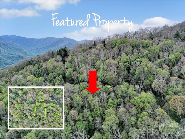 LOT18 Quail Ridge Dr, Maggie Valley NC, 28751 land for sale