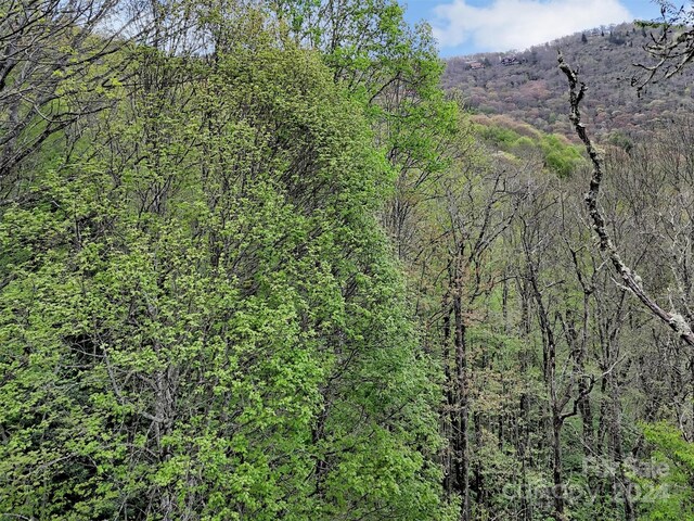 LOT18 Quail Ridge Dr, Maggie Valley, NC 28751