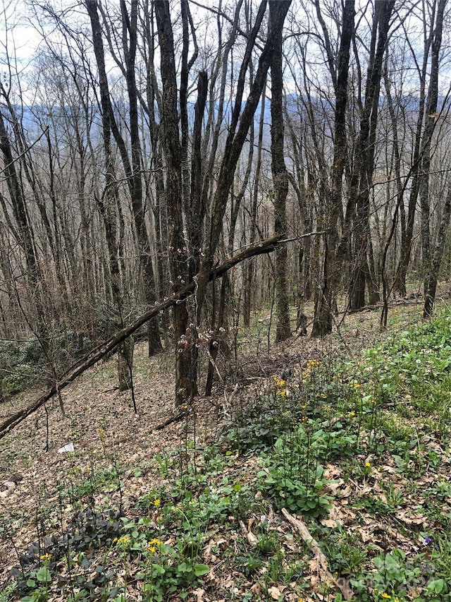 LOT18 Quail Ridge Dr, Maggie Valley, NC 28751