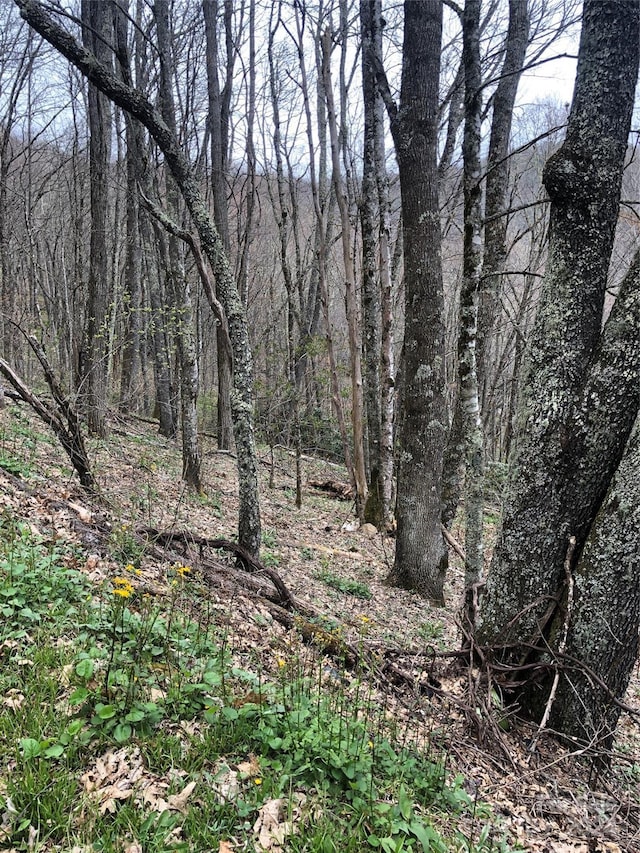 LOT18 Quail Ridge Dr, Maggie Valley, NC 28751