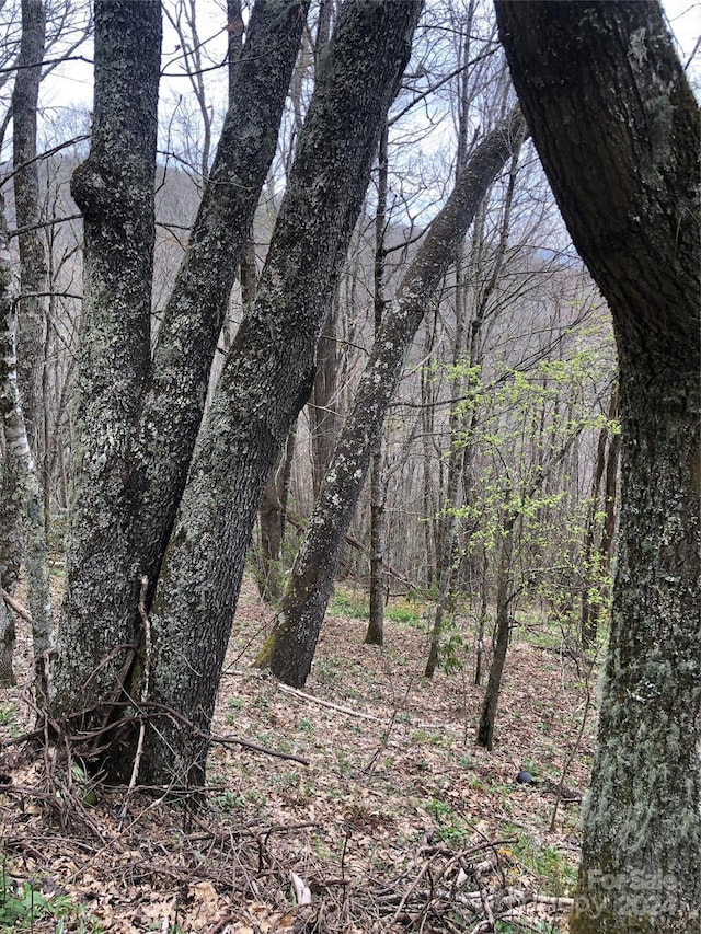 LOT18 Quail Ridge Dr, Maggie Valley, NC 28751