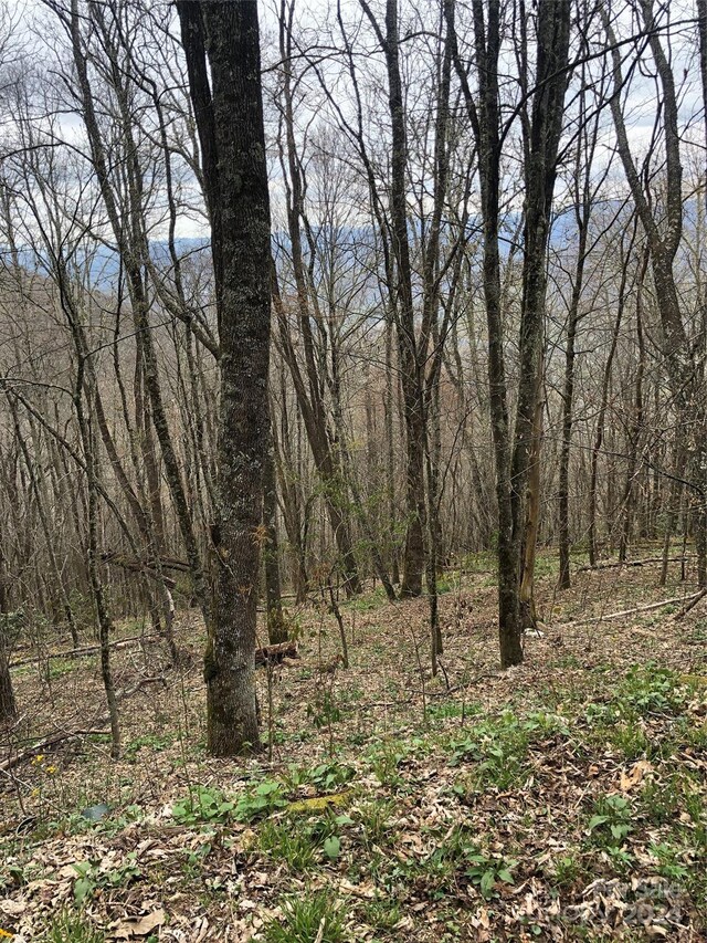 LOT18 Quail Ridge Dr, Maggie Valley, NC 28751