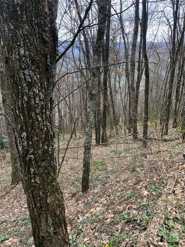 LOT18 Quail Ridge Dr, Maggie Valley, NC 28751