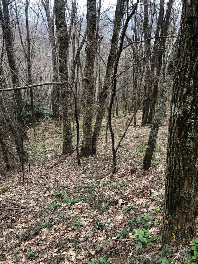 LOT18 Quail Ridge Dr, Maggie Valley, NC 28751