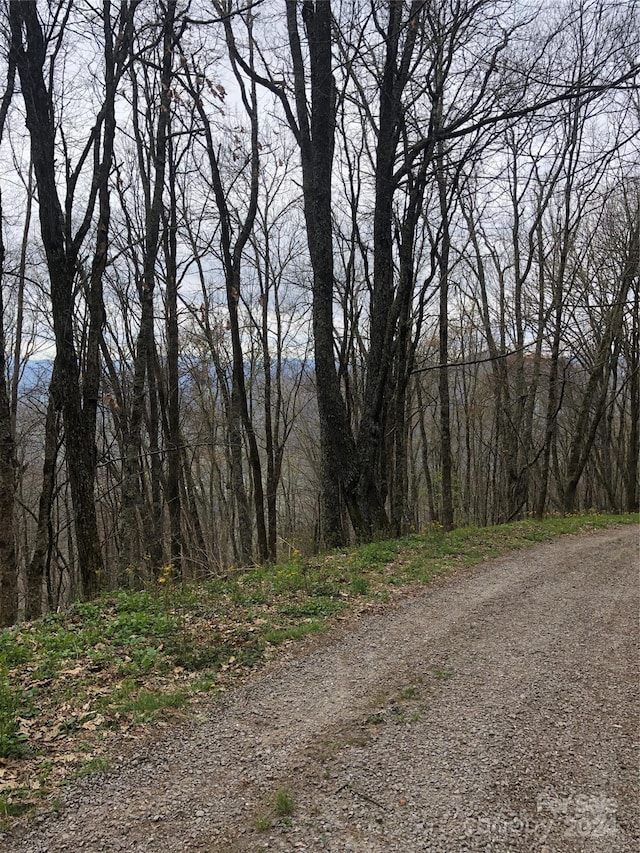LOT18 Quail Ridge Dr, Maggie Valley, NC 28751