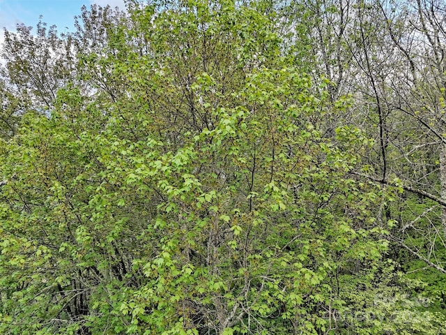 LOT18 Quail Ridge Dr, Maggie Valley, NC 28751