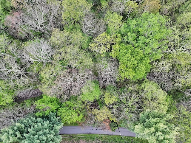 LOT18 Quail Ridge Dr, Maggie Valley, NC 28751