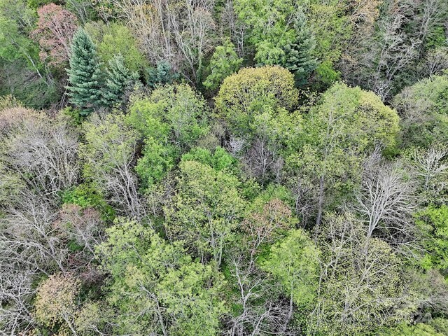 LOT18 Quail Ridge Dr, Maggie Valley, NC 28751