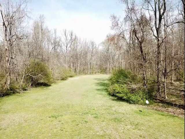 000 Black Hwy, York, SC 29745 - photo 7