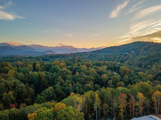 128 Riverbend Forest Dr Unit 24, Asheville NC, 28805 land for sale