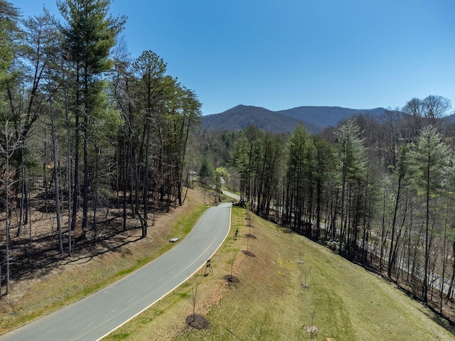 Listing photo 3 for 128 Riverbend Forest Dr Unit 24, Asheville NC 28805