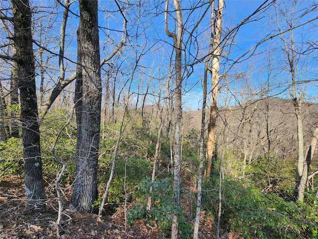 LOT22 Sunset Ridge Dr Unit 22, Columbus, NC 28722
