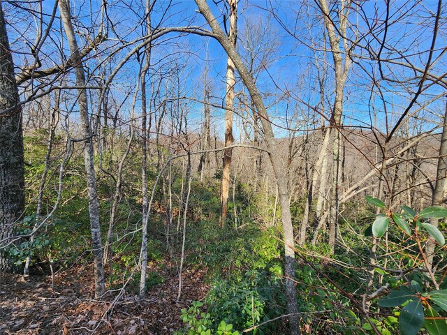LOT22 Sunset Ridge Dr Unit 22, Columbus, NC 28722