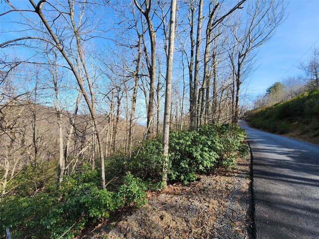 LOT22 Sunset Ridge Dr Unit 22, Columbus, NC 28722