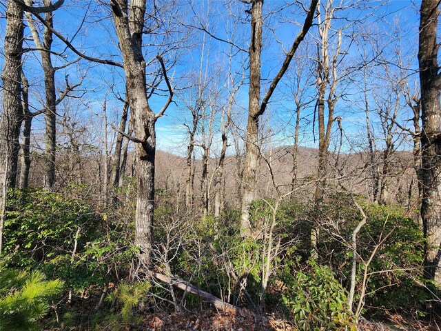LOT22 Sunset Ridge Dr Unit 22, Columbus, NC 28722