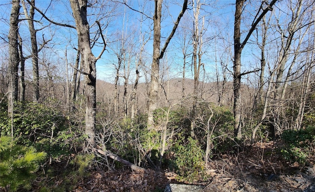 LOT22 Sunset Ridge Dr Unit 22, Columbus, NC 28722