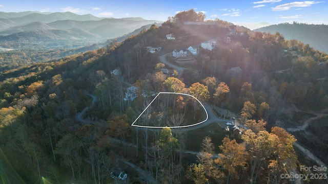 99999 Leisure Mountain Rd Unit 4, Asheville NC, 28804 land for sale