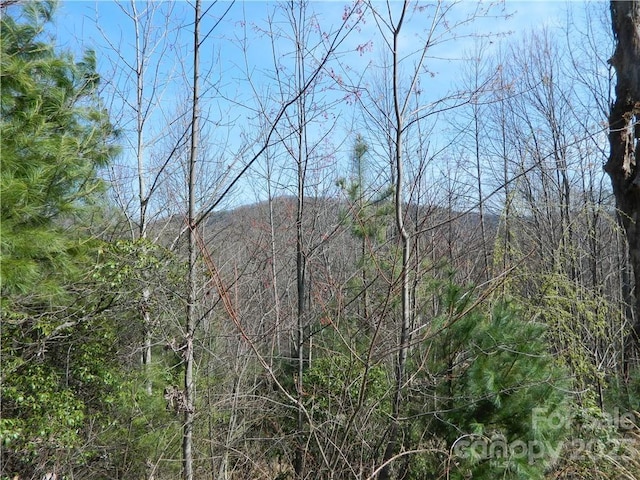 Listing photo 3 for 0000 Roca Vista Dr Unit 143, Lenoir NC 28645