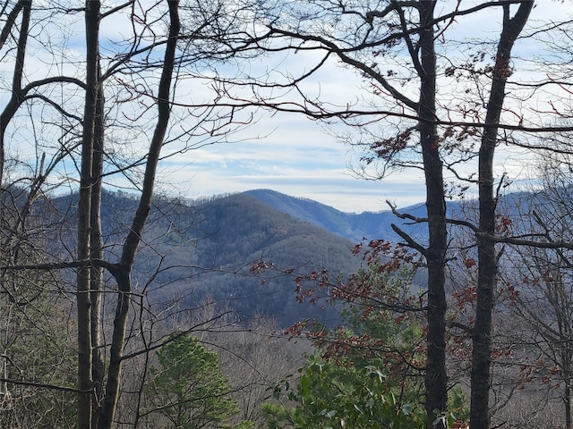 0000 Lookout Terrace Rd, Black Mountain NC, 28711 land for sale