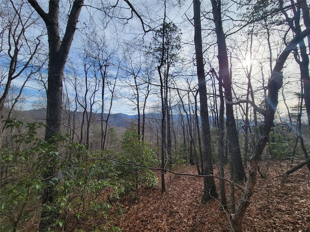 Listing photo 2 for 0000 Lookout Terrace Rd, Black Mountain NC 28711