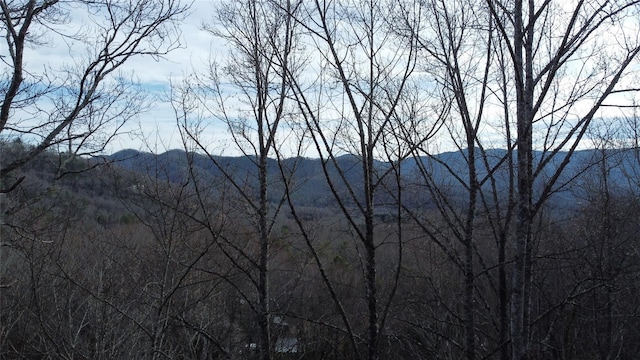 Listing photo 3 for 0000 Lookout Terrace Rd, Black Mountain NC 28711