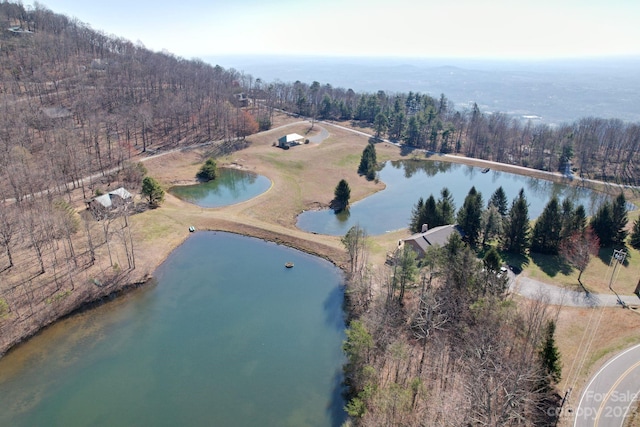 LOT77 Three Bridges Dr, Columbus, NC 28722 - photo 25