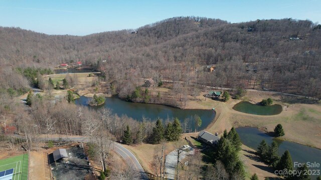 LOT77 Three Bridges Dr, Columbus, NC 28722 - photo 26