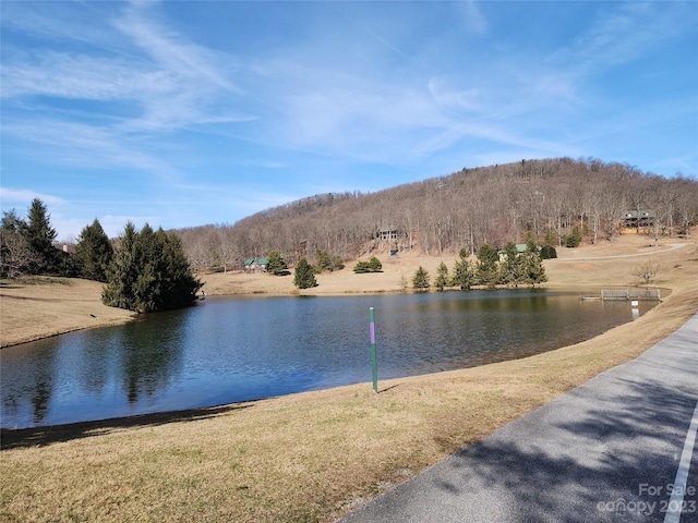 LOT77 Three Bridges Dr, Columbus, NC 28722 - photo 2