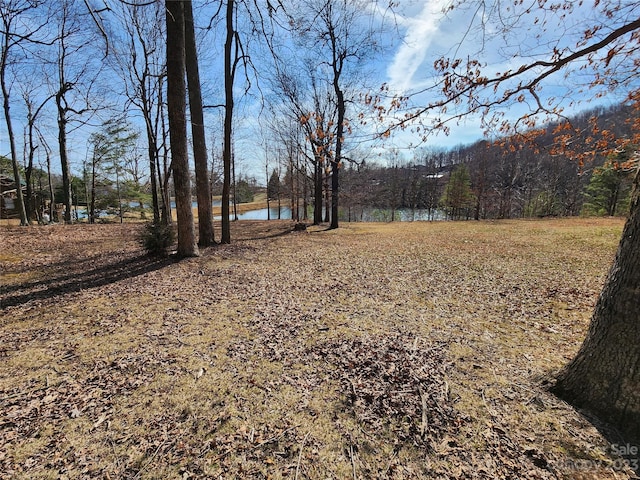 LOT77 Three Bridges Dr, Columbus, NC 28722 - photo 3
