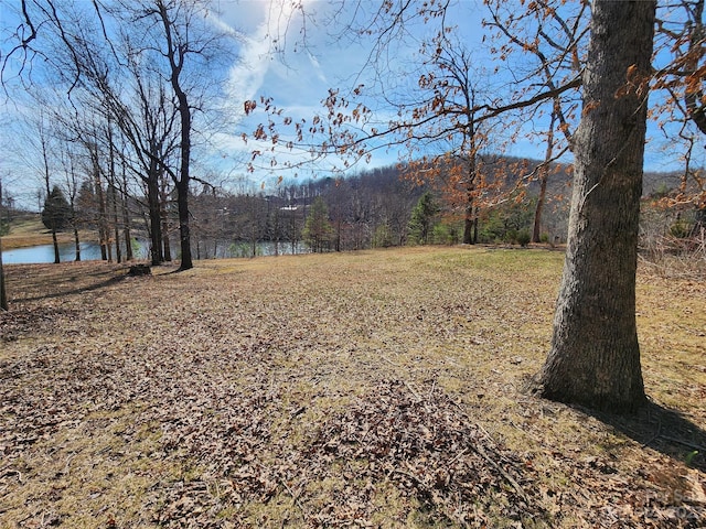 LOT77 Three Bridges Dr, Columbus, NC 28722 - photo 4