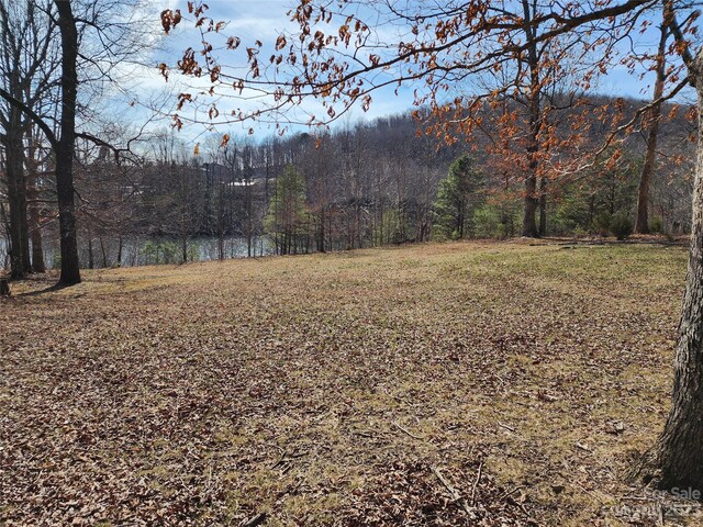 LOT77 Three Bridges Dr, Columbus, NC 28722 - photo 5