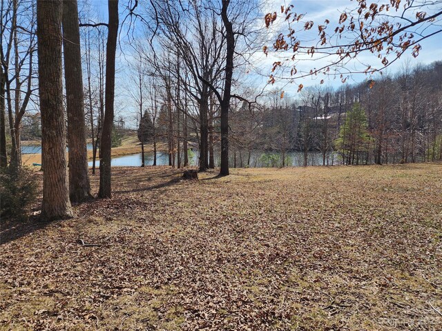 LOT77 Three Bridges Dr, Columbus, NC 28722 - photo 6