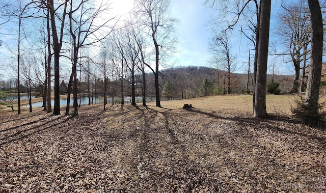 LOT77 Three Bridges Dr, Columbus, NC 28722 - photo 7