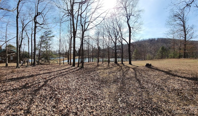LOT77 Three Bridges Dr, Columbus, NC 28722 - photo 8